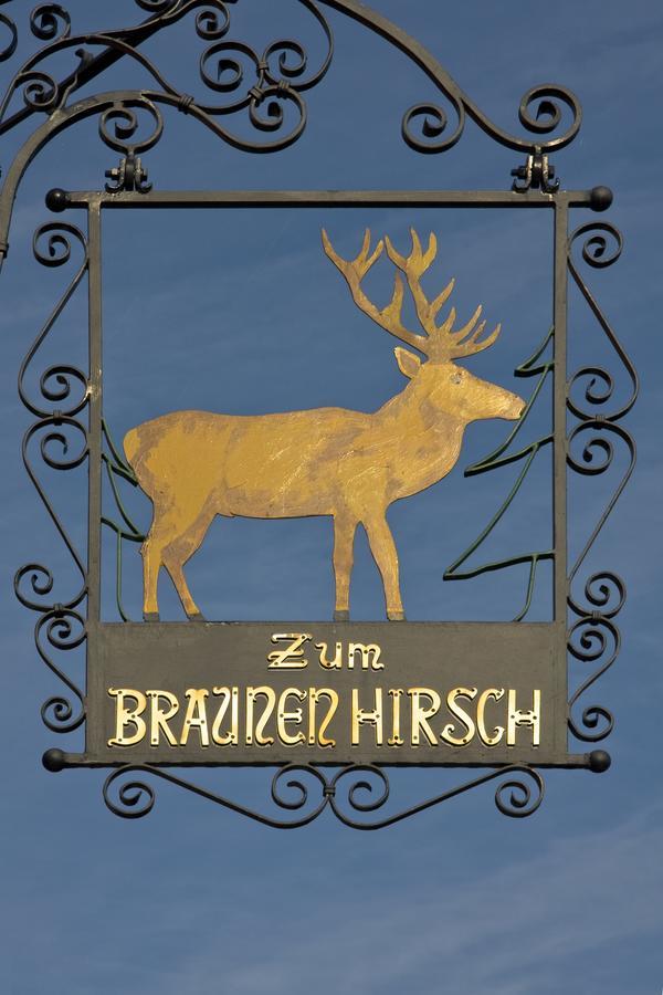 Brauner Hirsch Hannoversch Münden Extérieur photo
